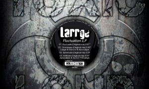 Fluctuation EP - Larrge